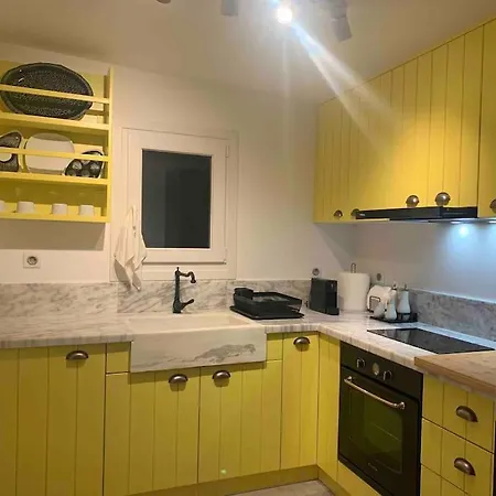 Syboro * Aloizianika