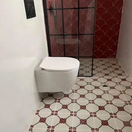 Syboro * Aloizianika